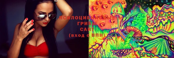 спайс Алексин